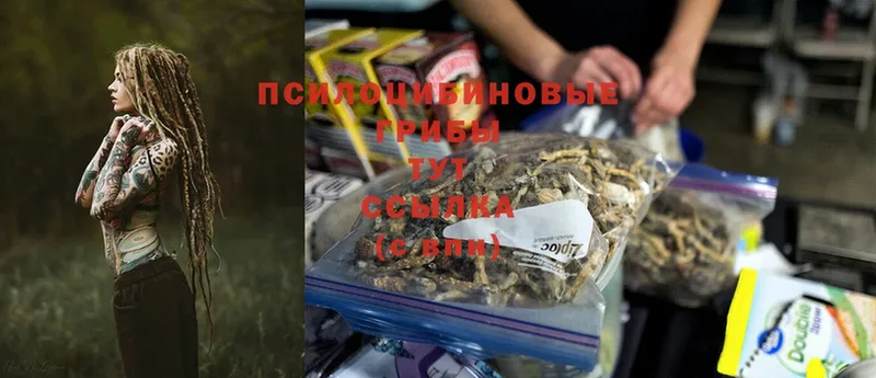 Галлюциногенные грибы MAGIC MUSHROOMS  Карталы 